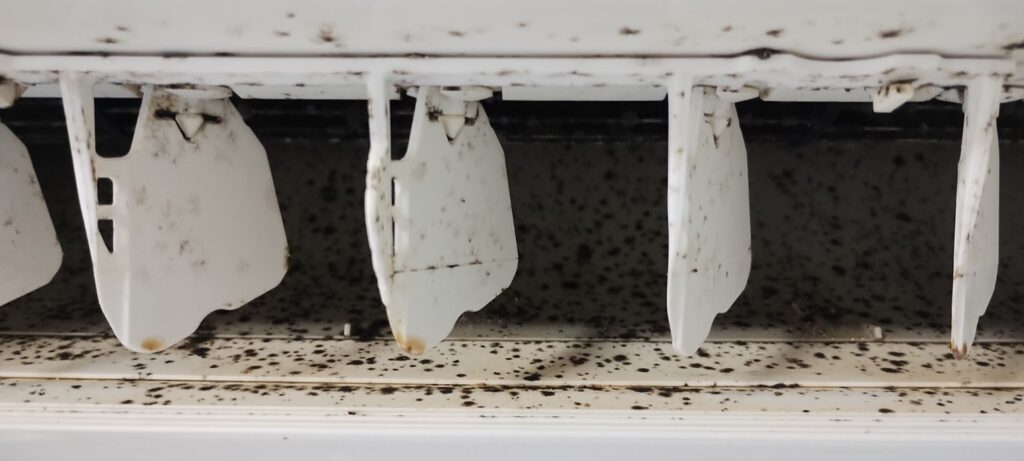 川崎市 クイックエアコンクリーニング 吹き出し口 カビ汚れ