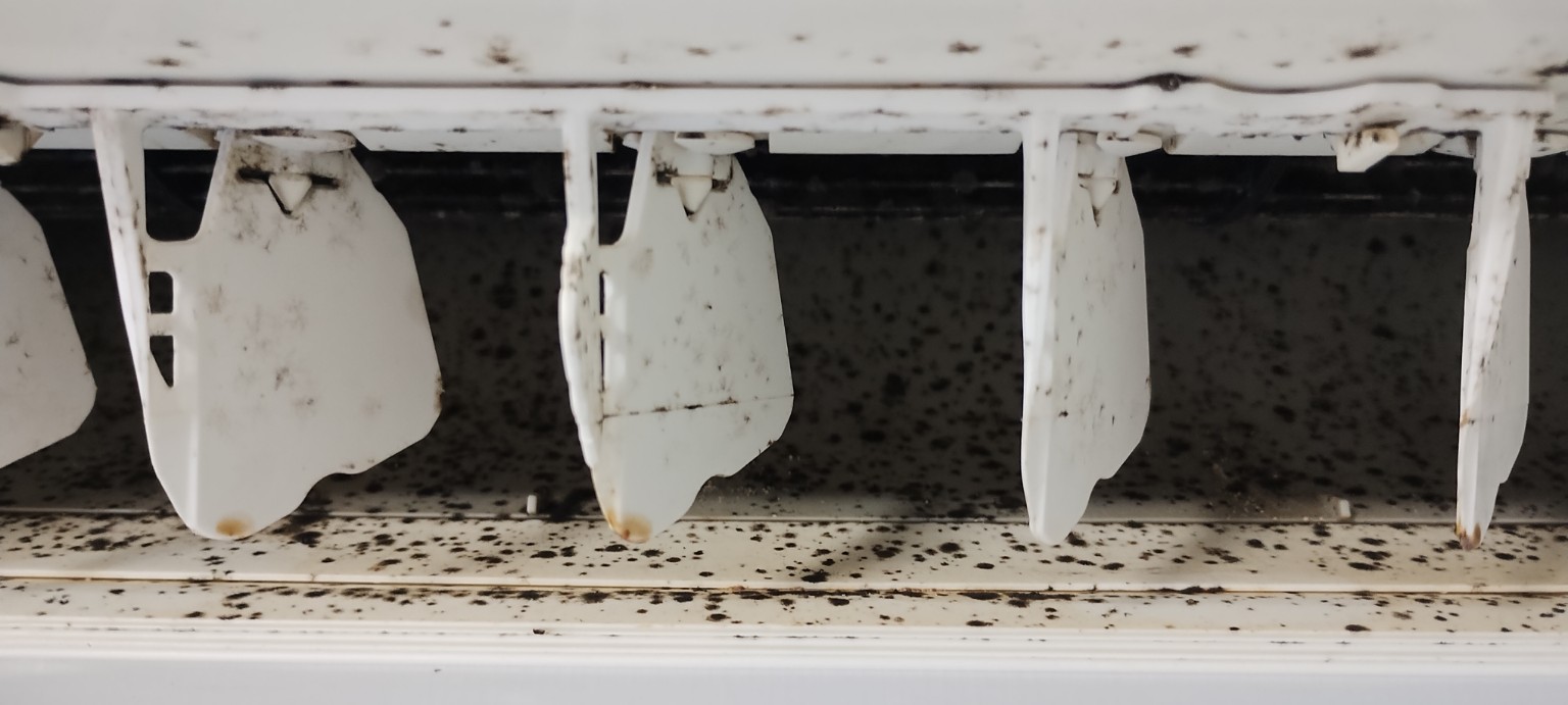 吹き出し口・ファンのカビ