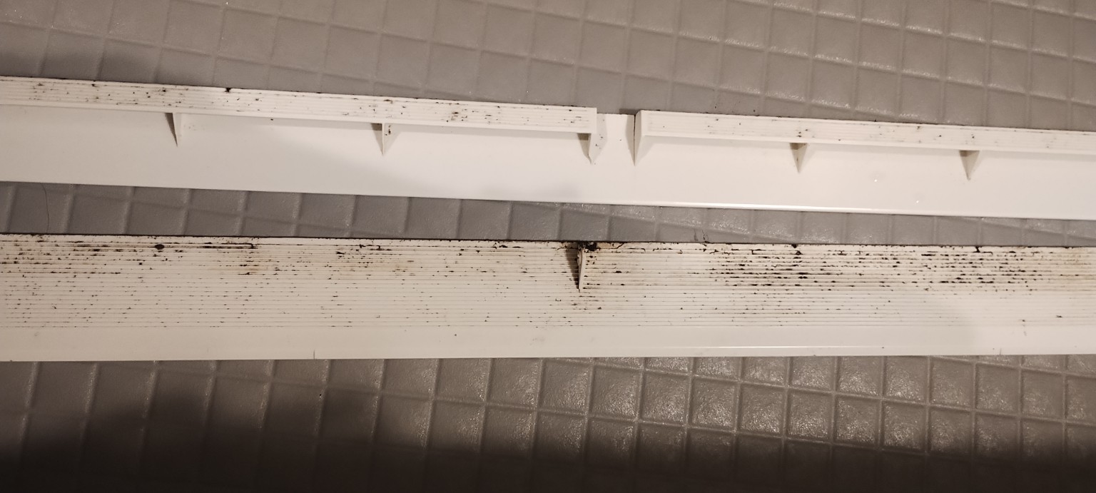 ルーバーのカビ